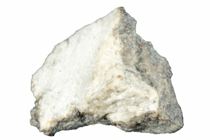 Aubrite Meteorite Fragment - Djoua #283636